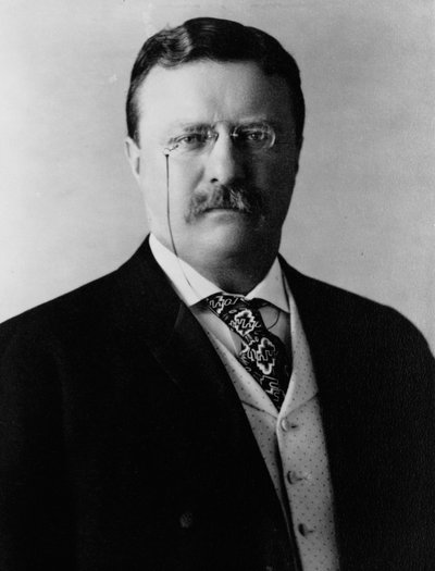 Theodore Roosevelt, c.1904 by Brothers Pach