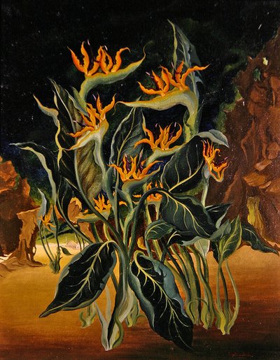 Strange Flowers by Bruce Hollingsworth
