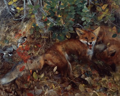 Foxes by Bruno Andreas Liljefors