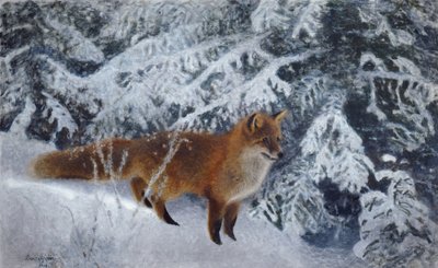 Winter Fox by Bruno Andreas Liljefors