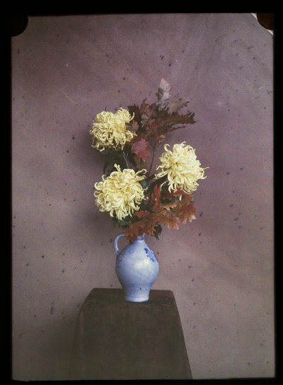 Flowers (Asters) in a Vase by C.W. Immink