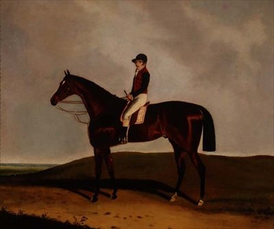 A Bay Racehorse by C. Markham