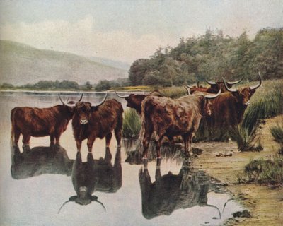 Scotland by C. Reid