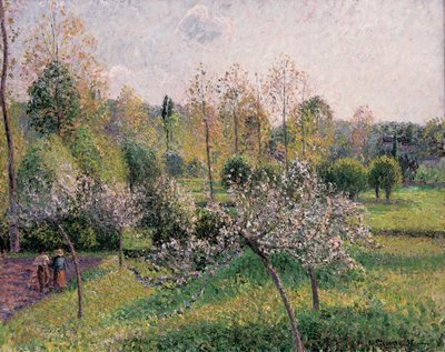 Apple Trees in Blossom, Eragny by Camille Jacob Pissarro