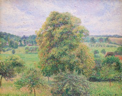 Big Walnut Tree at Eragny by Camille Pissarro