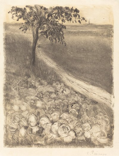 Road by a Field of Cabbages by Camille Pissarro