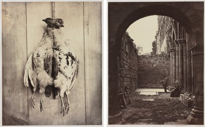 Partridges (recto); L.D. Campbell