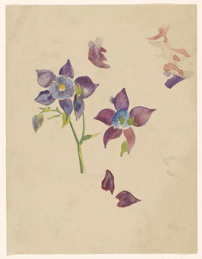 Flower Study by Carel Adolph Lion Cachet