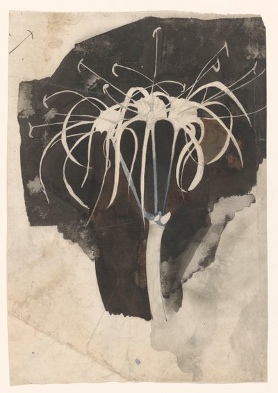 Study of Honeysuckle by Carel Adolph Lion Cachet