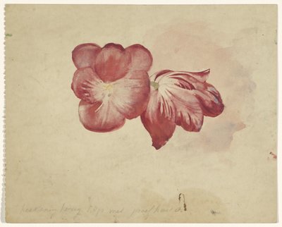 Two Red Tulips by Carel Adolph Lion Cachet