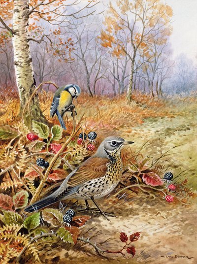 Fieldfare and Blue Tit by Carl Donner