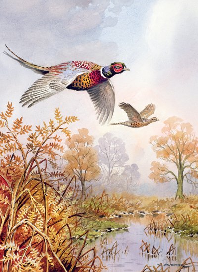 Over the Fen by Carl Donner