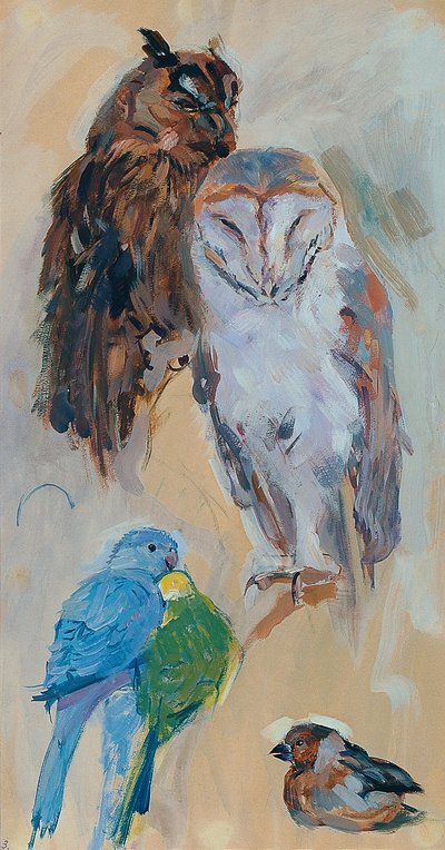 Animal Study from Schönbrunn by Carl Fahringer