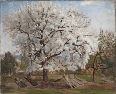 Apple Tree in Blossom by Carl Fredrik Hill