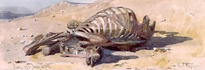 The Bones of a Camel, Suez by Carl Haag