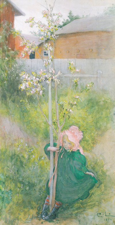 Appleblossom by Carl Larsson