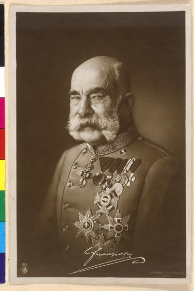 Franz Joseph I by Carl Pietzner