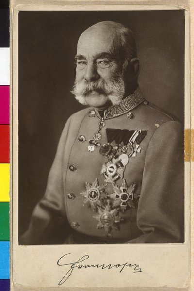 Franz Joseph I by Carl Pietzner