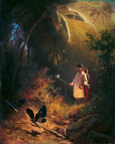 The Butterfly Catcher by Carl Spitzweg