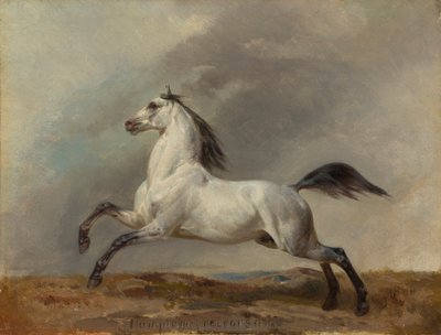 White Stallion Facing Left by Carl Steffeck