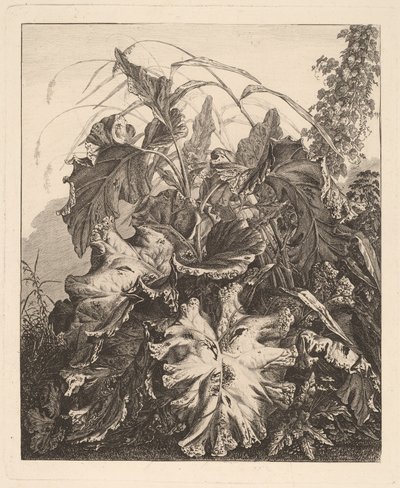 Foliage with Reeds by Carl Wilhelm Kolbe