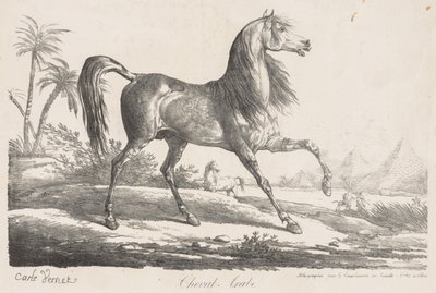 Suite de Chevaux: Cheval Arabe by Carle Vernet