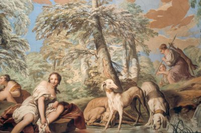 The Rest of Diana by Carle van Loo