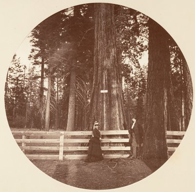 Auld Reckie by Carleton Emmons Watkins