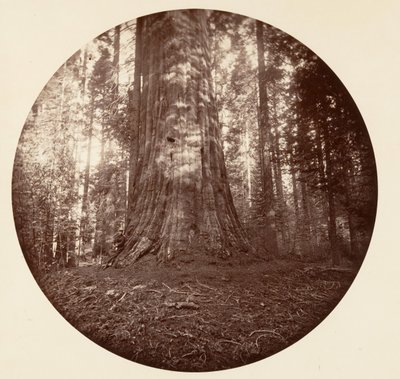 Empire State by Carleton Emmons Watkins