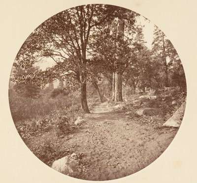 In the Yosemite Valley by Carleton Emmons Watkins