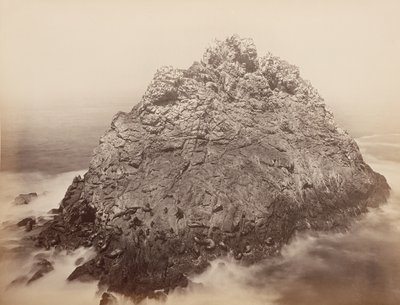Sugar Loaf Islands, Farallons, 1868-69 by Carleton Emmons Watkins