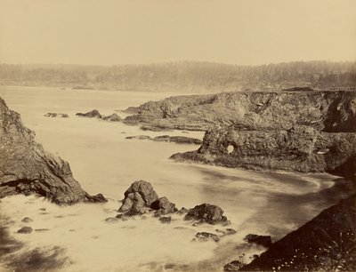 Coast View of Mendocino by Carleton Watkins