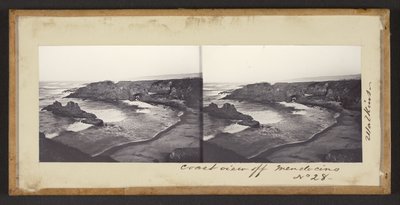 Coast View off Mendocino by Carleton Watkins