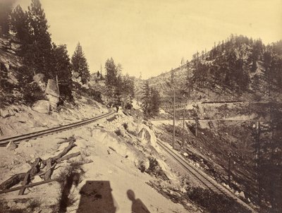 View on Lake Tahoe by Carleton Watkins