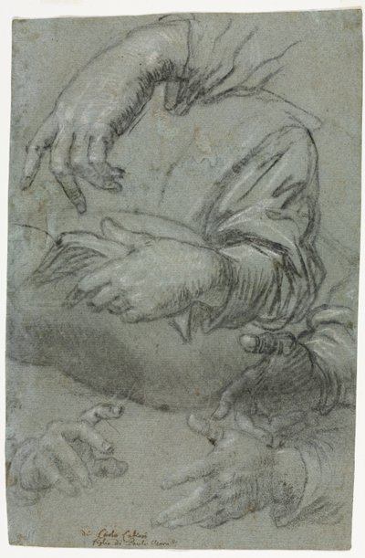 Studies of Hands by Carletto Caliari