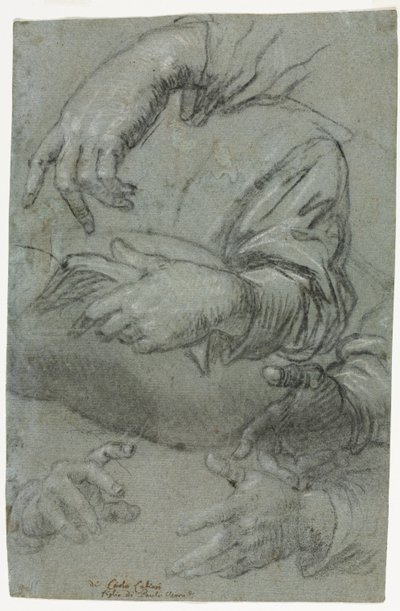 Studies of Hands (detail) by Carletto Caliari