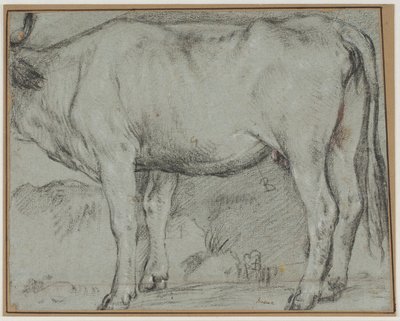 Standing Cow (head missing) by Carlo Caliari
