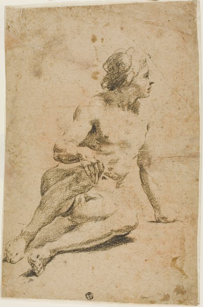 Seated Male Nude by Carlo Cignani
