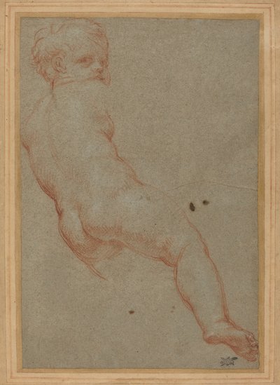 Study of a Young Boy by Carlo Maratta