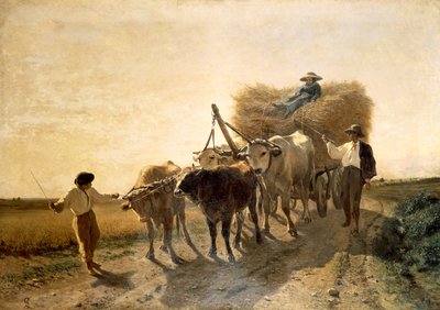 Harvest by Carlo Pittara