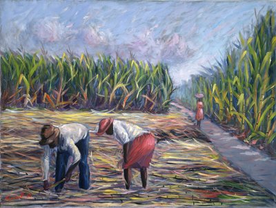 Sugarcane Harvest, 1986 by Carlton Murrell