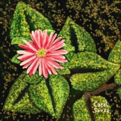 Wildflower by Carol Sousa Cuello