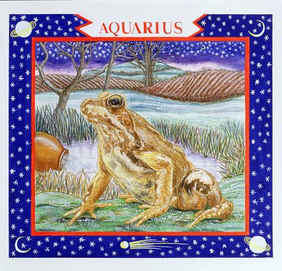 Aquarius by Catherine Bradbury