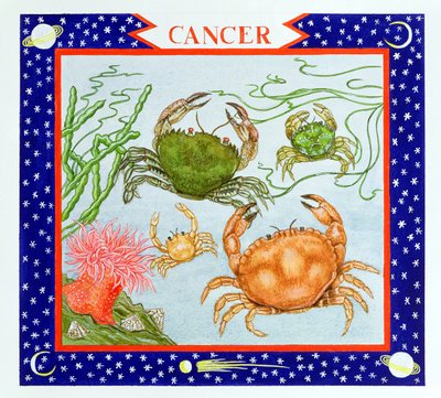 Cancer by Catherine Bradbury
