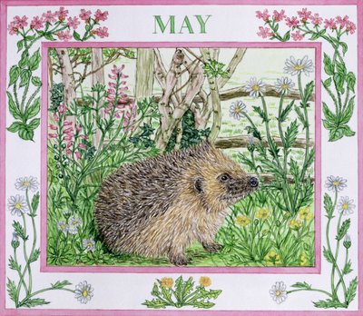 May by Catherine Bradbury