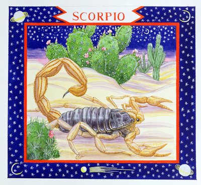 Scorpio by Catherine Bradbury