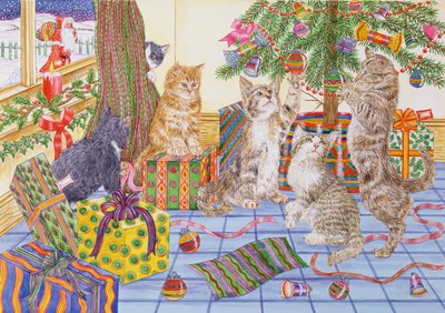 The Cats Christmas by Catherine Bradbury