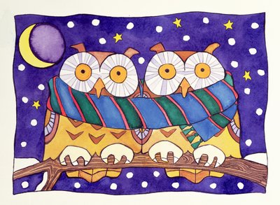 Owls by Night by Cathy Baxter