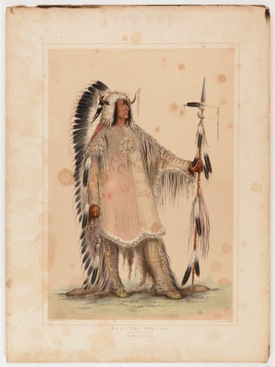Mah-to-toh-pa, the Mandan Chief by Catlin, George