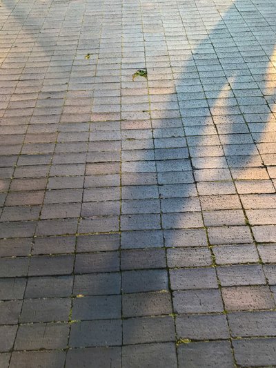 Composition - Light by Cécile Jamet